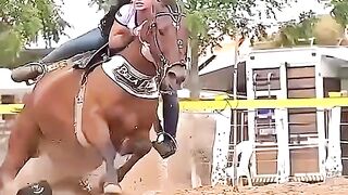 horse racing || ????????
