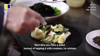 Singapore approves insects as food