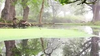 Beautiful nature 197