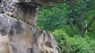 natural life of rural village