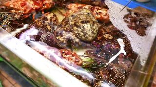 Japanese Street Food - GIANT TIGER SHRIMP Spicy Chili Prawns Japan Seafood