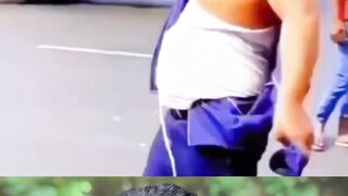 Funny video ???? 73