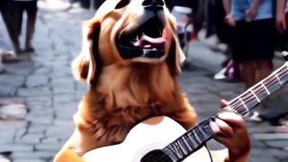 Animals like human