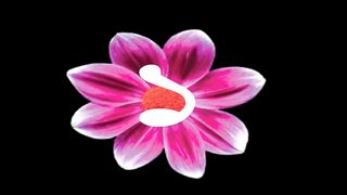 মন ভুলানো দশটি ধাঁধা ও তার উত্তর