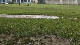 গ্রামের প্রকৃতি