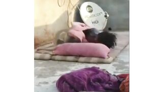 Funny animal videos 36