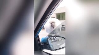 Funny animal videos 40