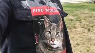 I lost my cat and found him 6 YEARS LATER...but now it's too late. (a story of letting go)