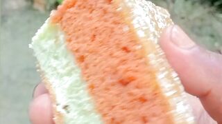 sandwich cake