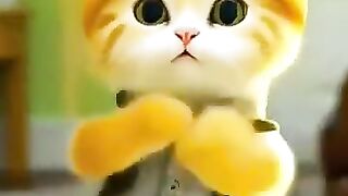 cute and beautiful cat //cat dance //new cat WhatsApp status //new trending WhatsApp status