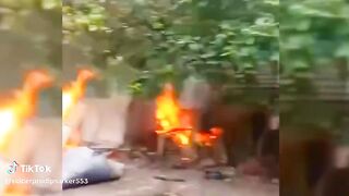 হিন্দু সম্প্রদায়ের বাড়িঘর জ্বালিয়ে দেয়া হয়েছে