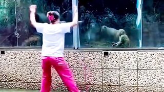 বান্দর কাকে বলে দেখুন #monkey #funnyshorts