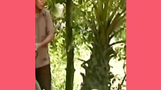 Comedy 265