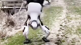 Robot 8