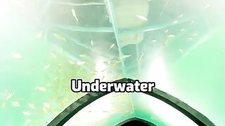 KOLKATA_S FIRST UNDERWATER AQUARIUM_ ???????? _shorts _vlog