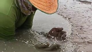 ক্ষুদ্র চাঁদা মাছ