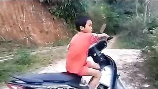 Funny videos 611