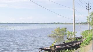 Sylhet cha bagan