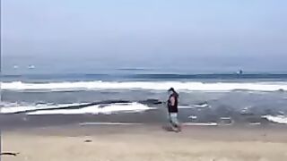 Person Slaps Dead Whale's Tail on California Beach