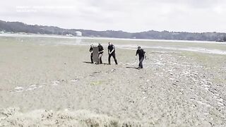 Missing Boy Found Safe After 2-Hour Search at Oregon Mud Flats