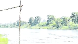 Beautiful view and weather #pigeon #pigeonlover #weather#river
