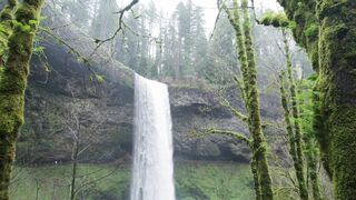 showing The nature beauty in this video ????
