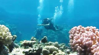 Diving in Ras Muhammed sharm El sheikh Egypt