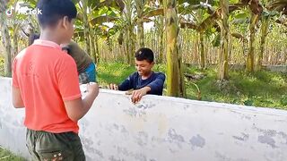 funny video 567