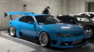 Only sports car lover
