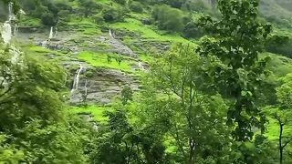 Nature the place