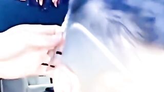 #short video. Viral video