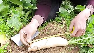 New funny video 2024 funny jokes