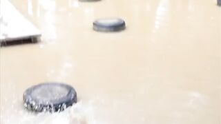 Funny Video 2024 3