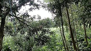 nature shots