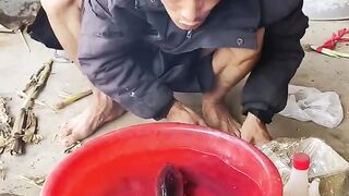 Funny video