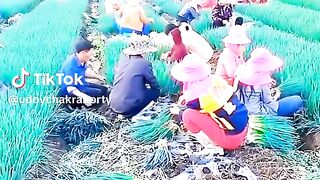 Funny Video #funnyvideo Satisfying Video 2