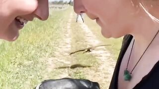 The bird Get Back #Shorts+#Viral+#ViralVideo+#TechHouse+#DeepHouse+#Techno+#HouseMusic+#Edit+#FY