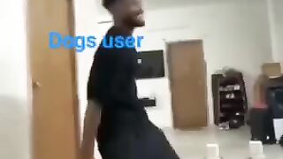 DOGS ???????? 2