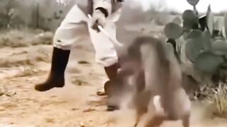 Amazing video 209