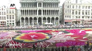 Huge floral display takes over historic site in Brussels.