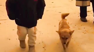 Funny ???????????????? video 4