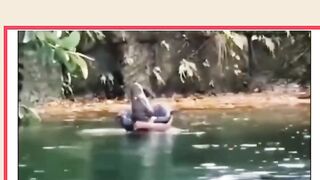 সবই বাংলা মালের কাজ