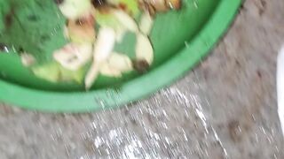 fish cutting