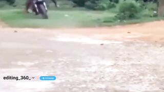 Best Funny videos ????????????????????