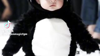 My penguin baby and fashion show wow wonderful do you like me