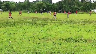 লংলা বাগান বনাম সান ফ্লাওয়ার