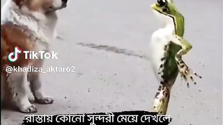 Funy Video ????????