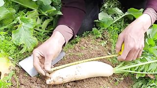 New Funny Videos 2024