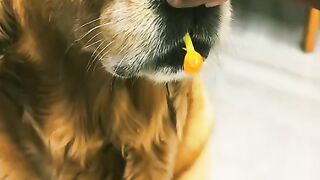 Funny ???????? funny video viral videos