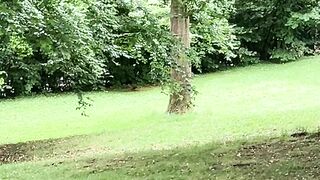 Petit écureuil 2
